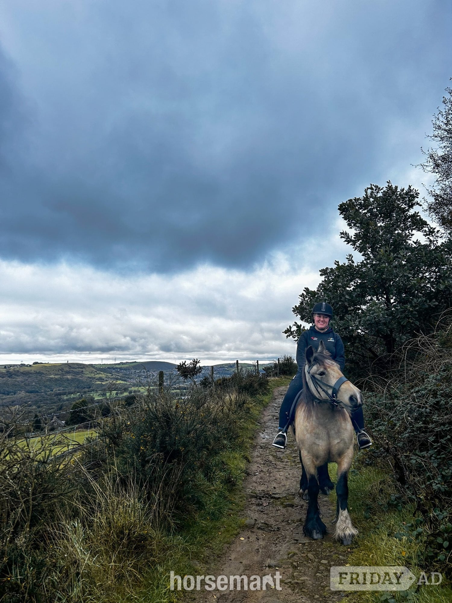 "Olive" Dun Mare All Rounder in Manchester