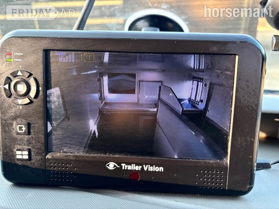 Malborough Hunter Malborough Hunter Renault Horsebox - Trailers & Horseboxes in Nantwich