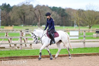 "Filo" Grey Mare Pony Club Pony