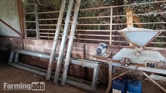 Cattle feed barriers