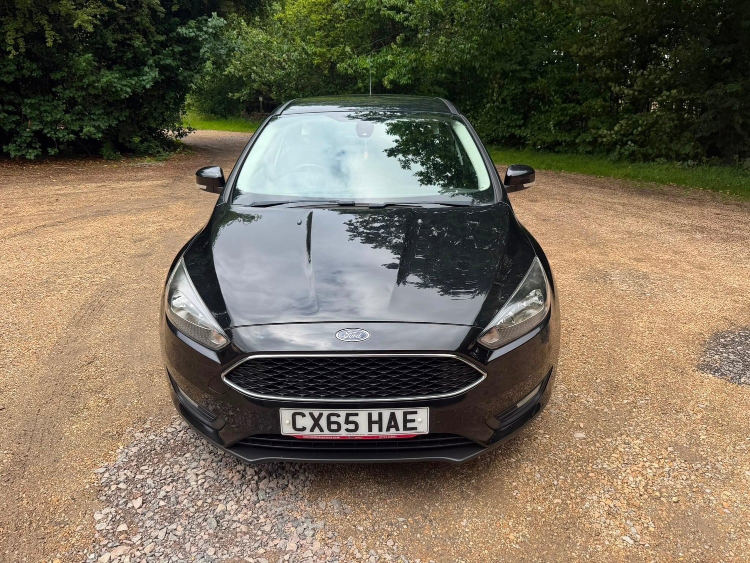 [ berth ]Ford Focus