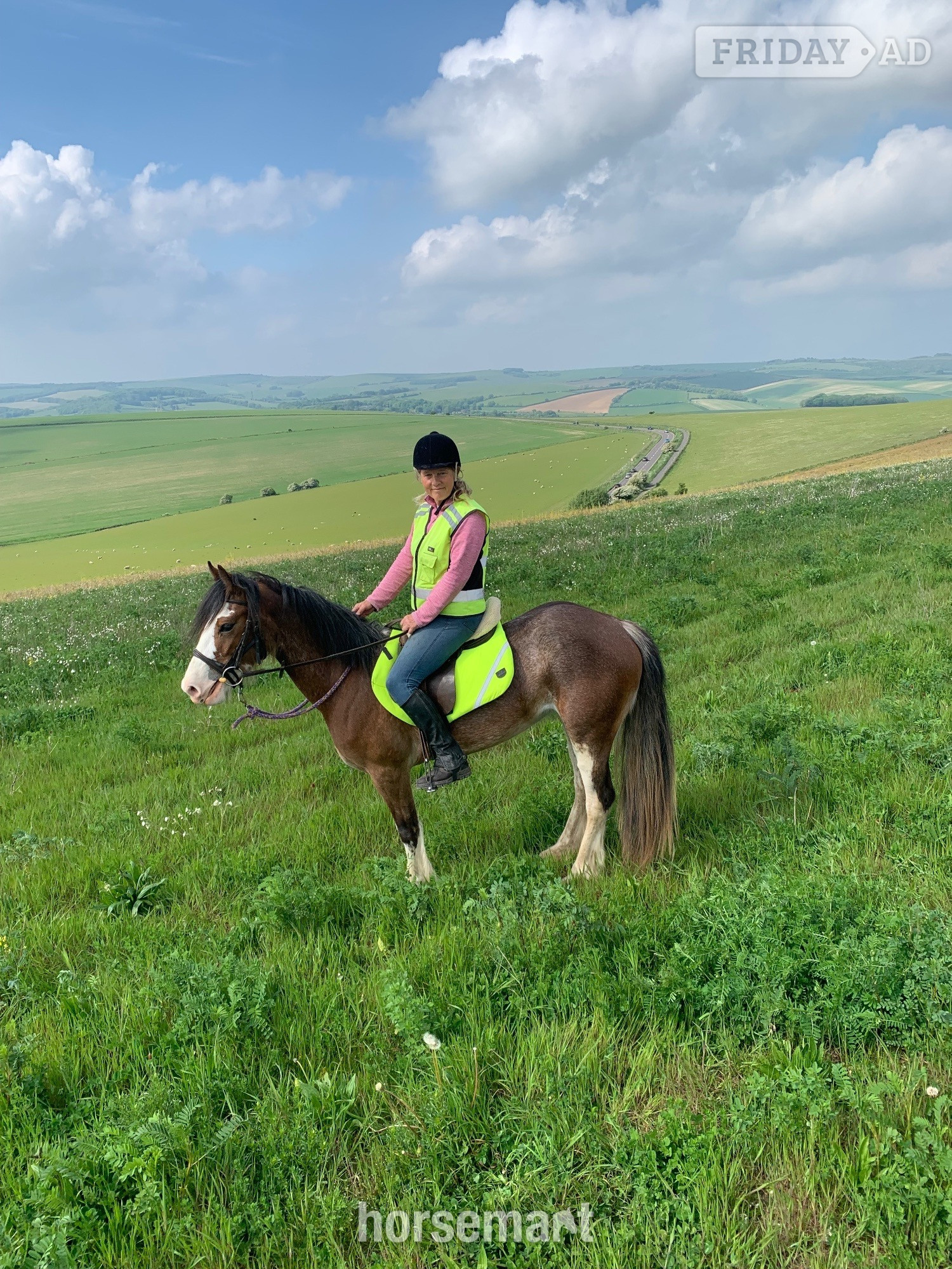 Brighton "Hilgarth Special Lady" Bay Roan Mare All Rounder