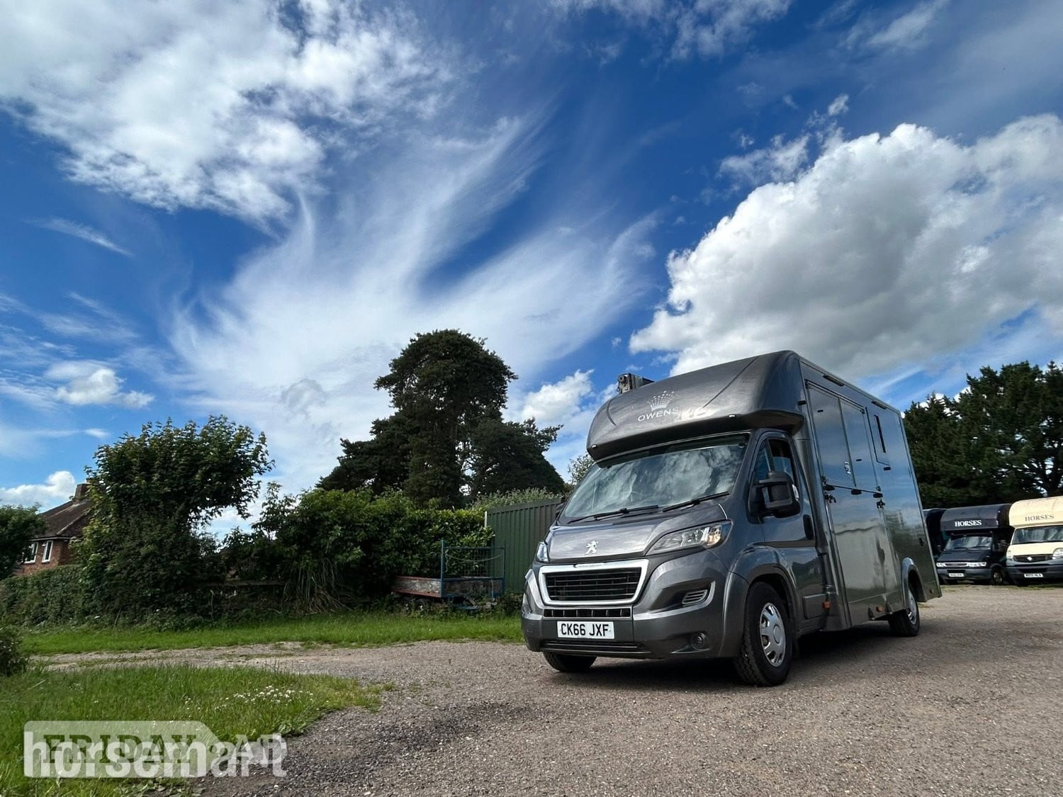 Owens  Peugeot Horsebox in Godalming