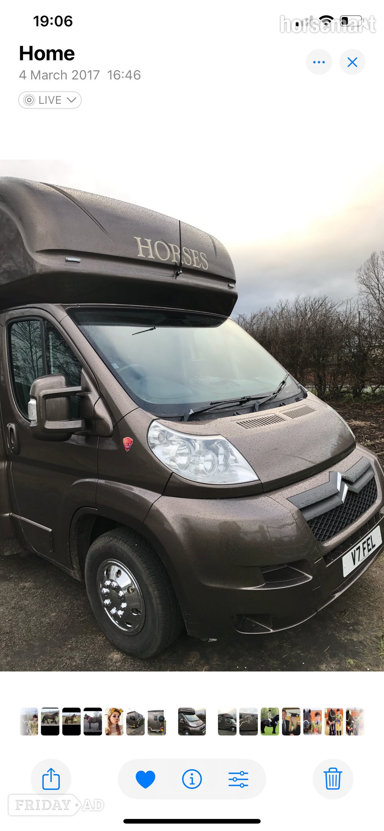 Regent  Citroen Horsebox - Trailers & Horseboxes in Preston