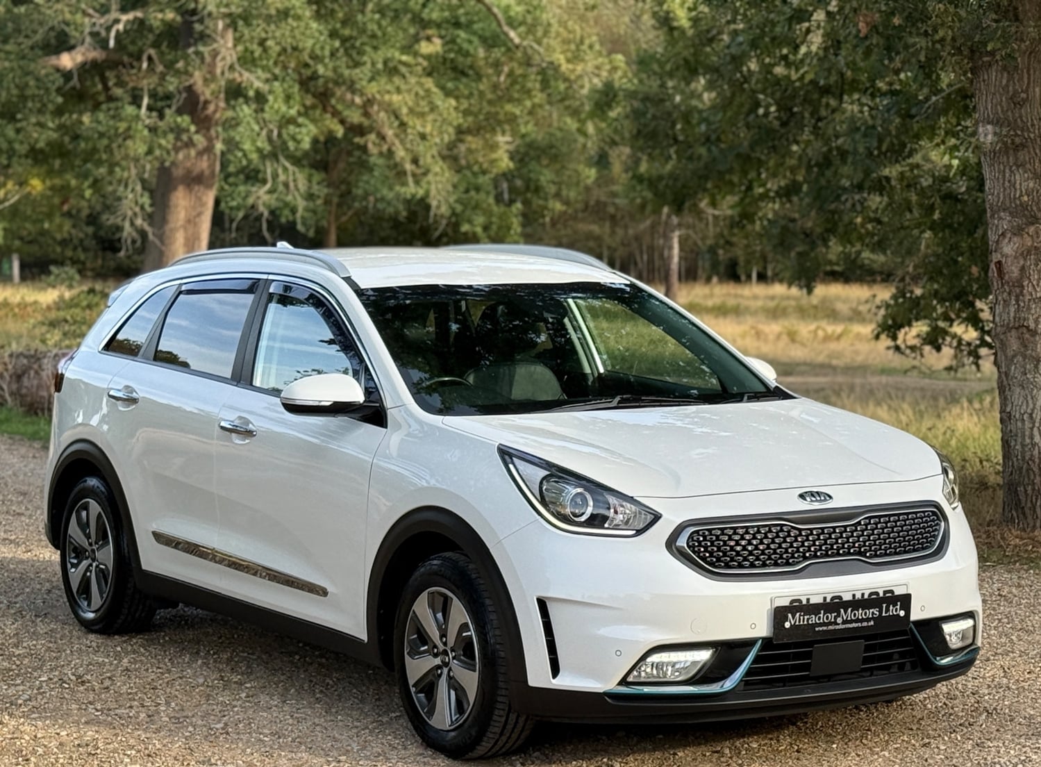 Kia Niro 2019 - Cars in Slough