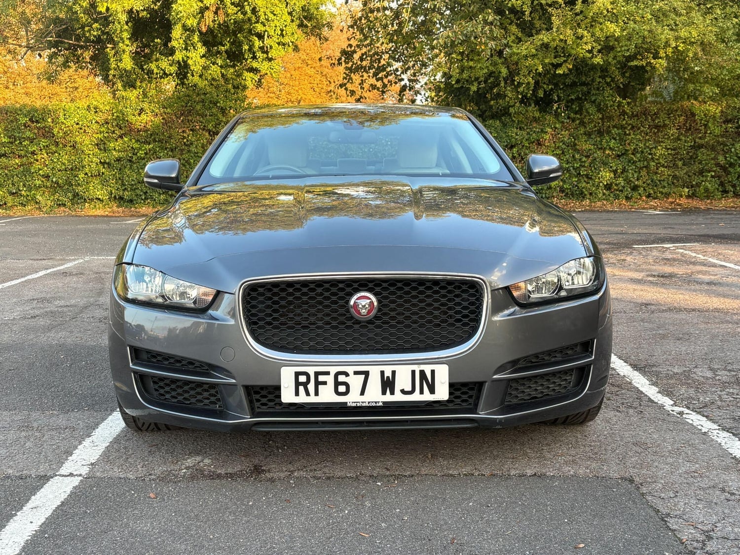 Jaguar XE East Molesey