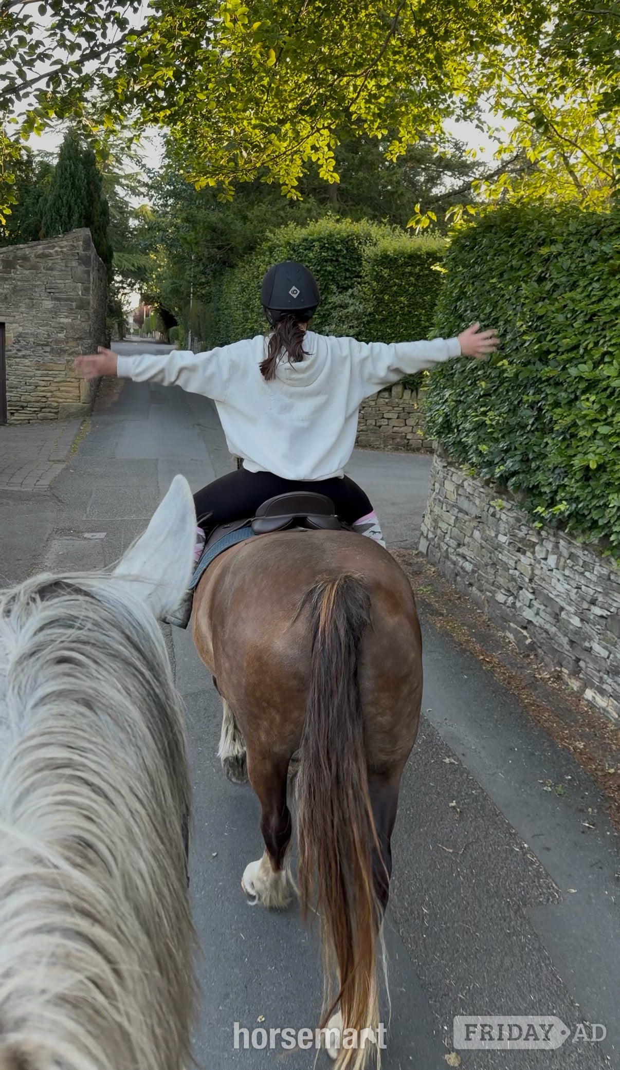 "Fronarth Olympic flame" Chestnut Mare Riding Club Horse - Horses in Bingley