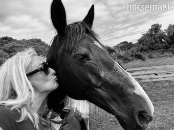 Irish Sports Pony for full or part loan 