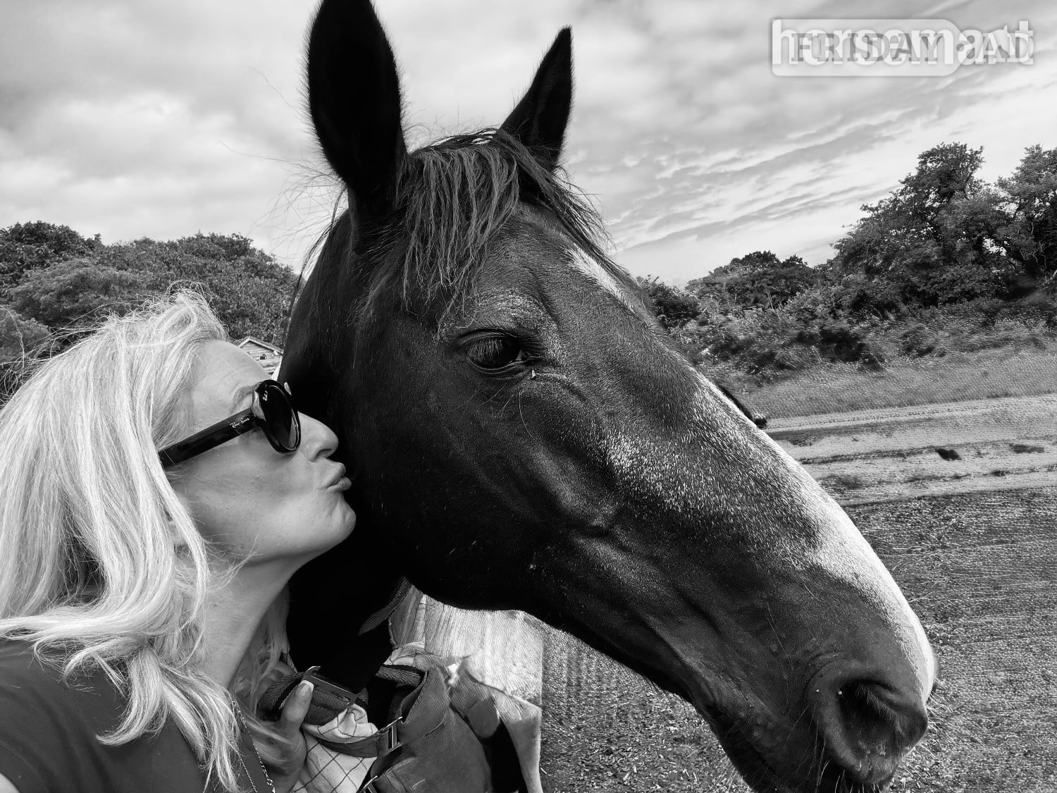 Irish Sports Pony for full or part loan  in Cardiff