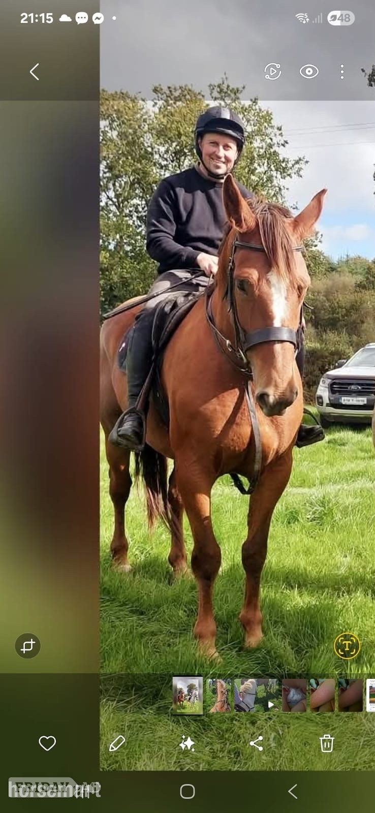 "Princess " Chestnut Mare All Rounder