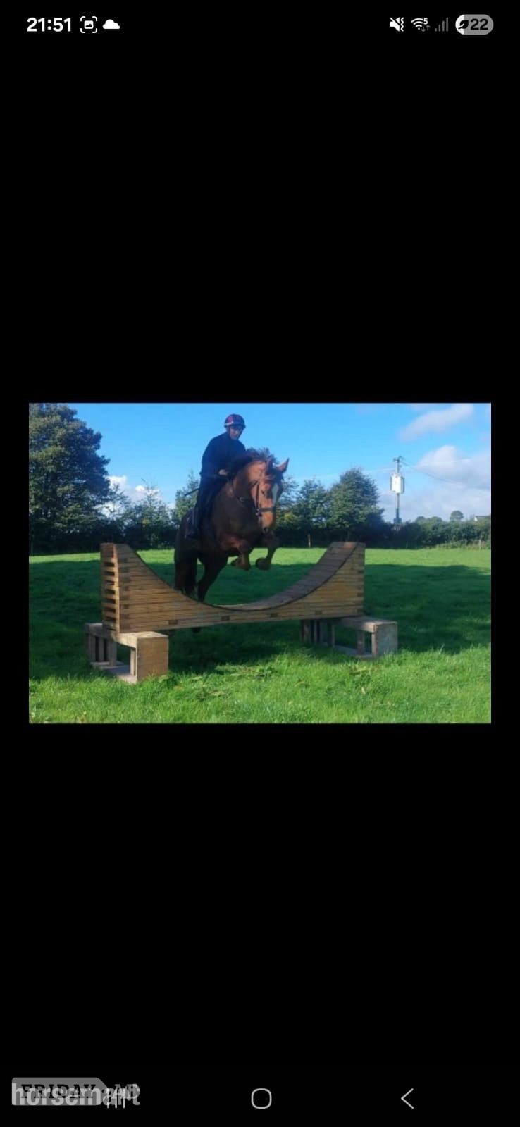 "Princess " Chestnut Mare All Rounder in Lismore