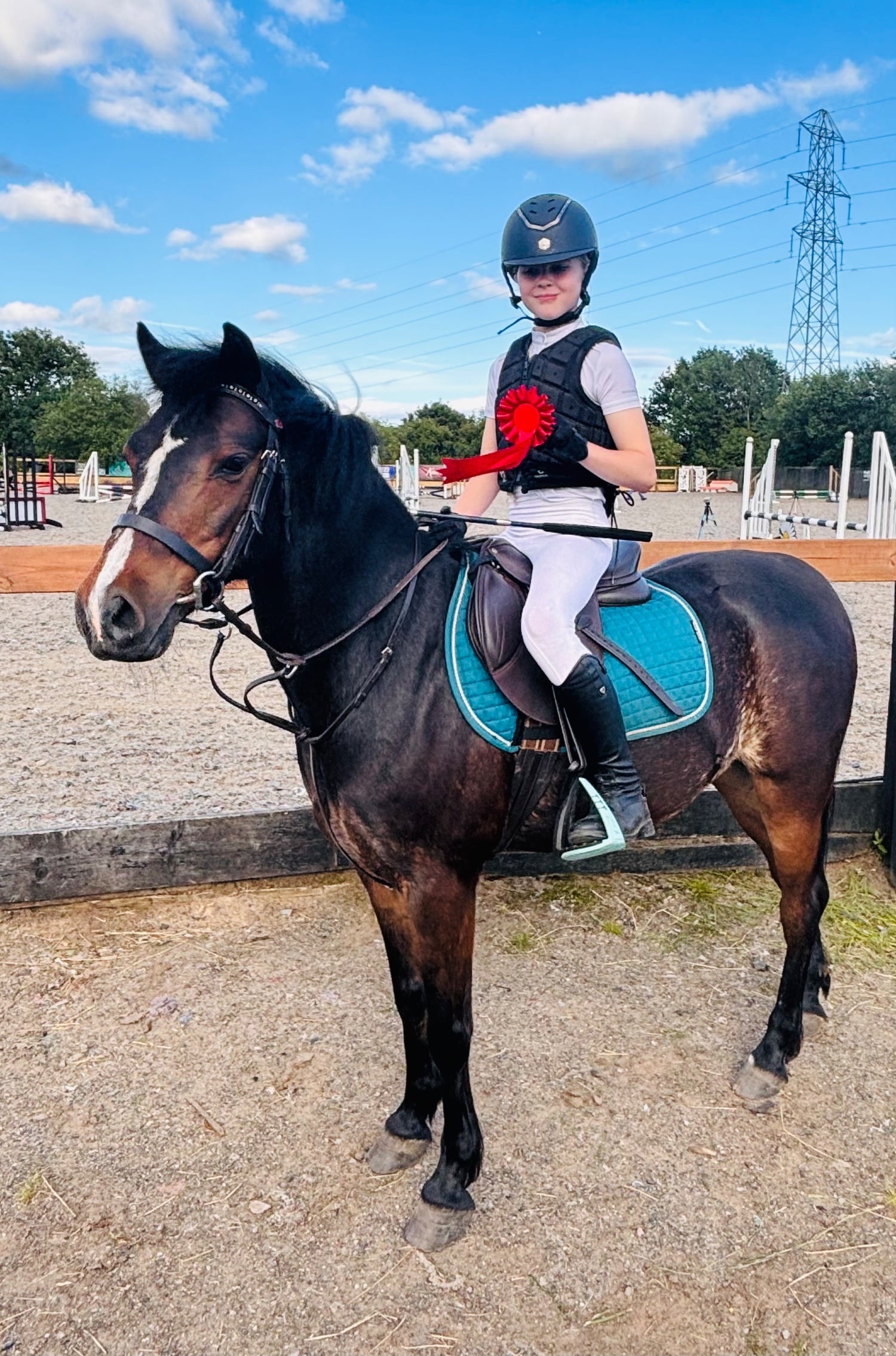 "Greigiau Spring Magic (Magic)" Bay Gelding Pony Club Pony - Horses in Nottingham