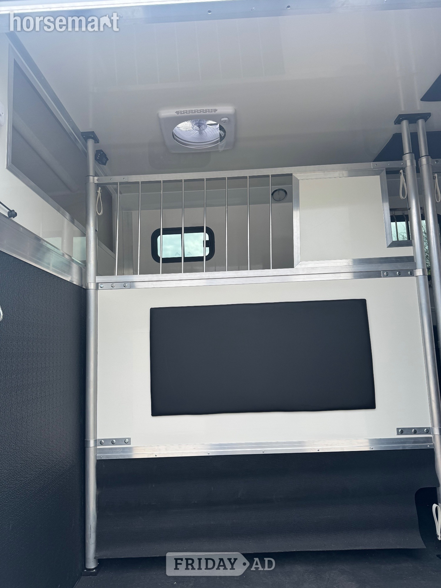 Foxy Stallion Lux Vauxhall Horsebox - Trailers & Horseboxes