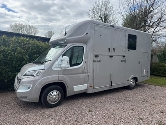 Foxy Stallion Lux Vauxhall Horsebox