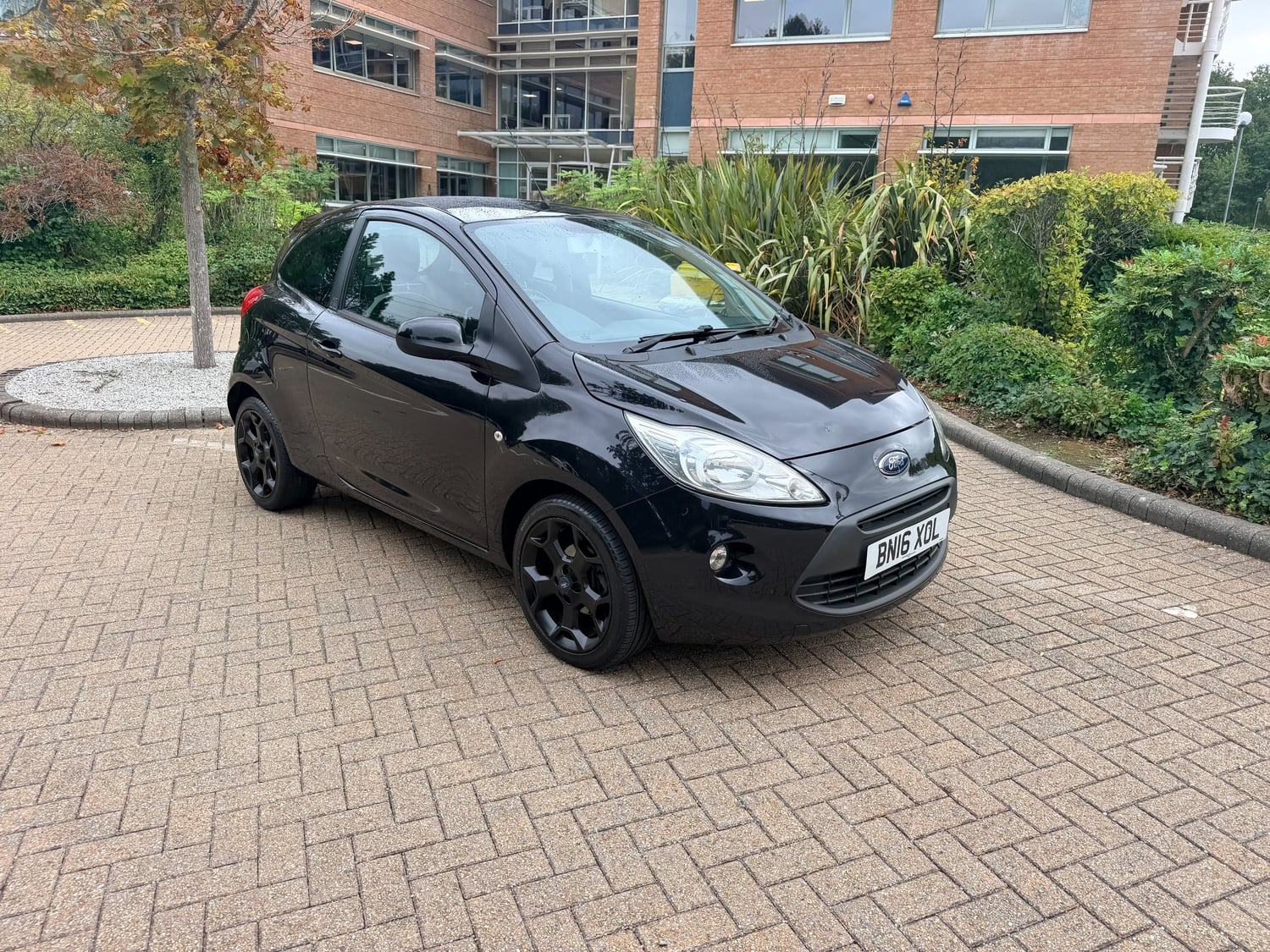 [ berth ]Ford Ka
