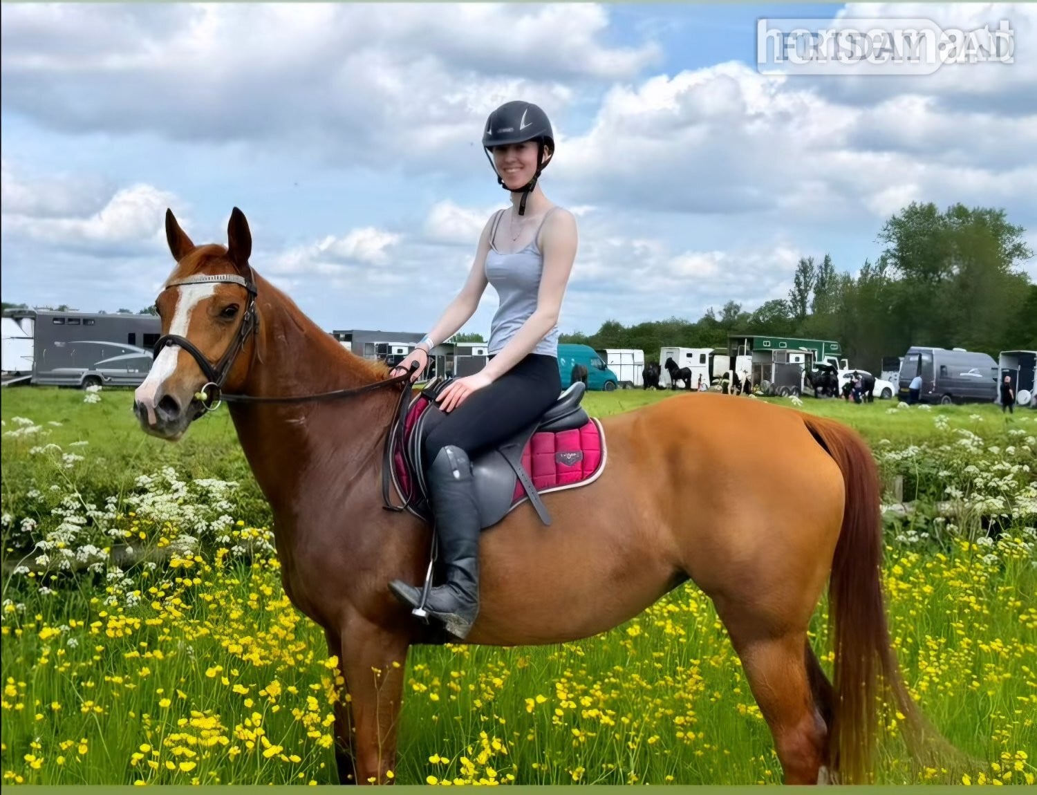 "Ruby" Chestnut Mare All Rounder in Flint