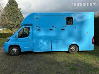 Quigley Solid Blue colour  Peugeot Horsebox