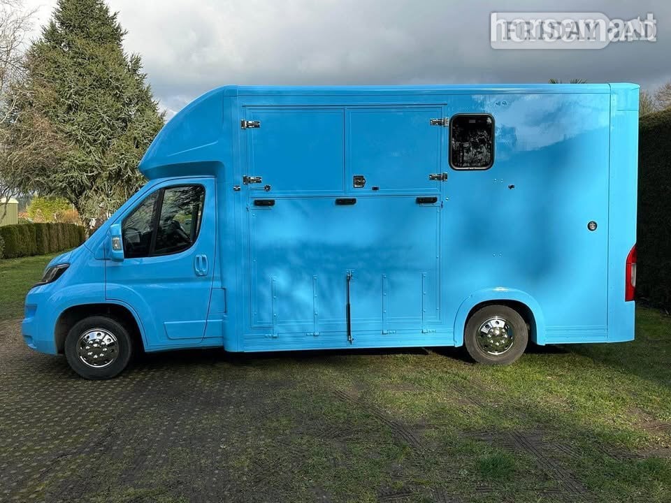 Quigley Solid Blue colour  Peugeot Horsebox in Blackpool