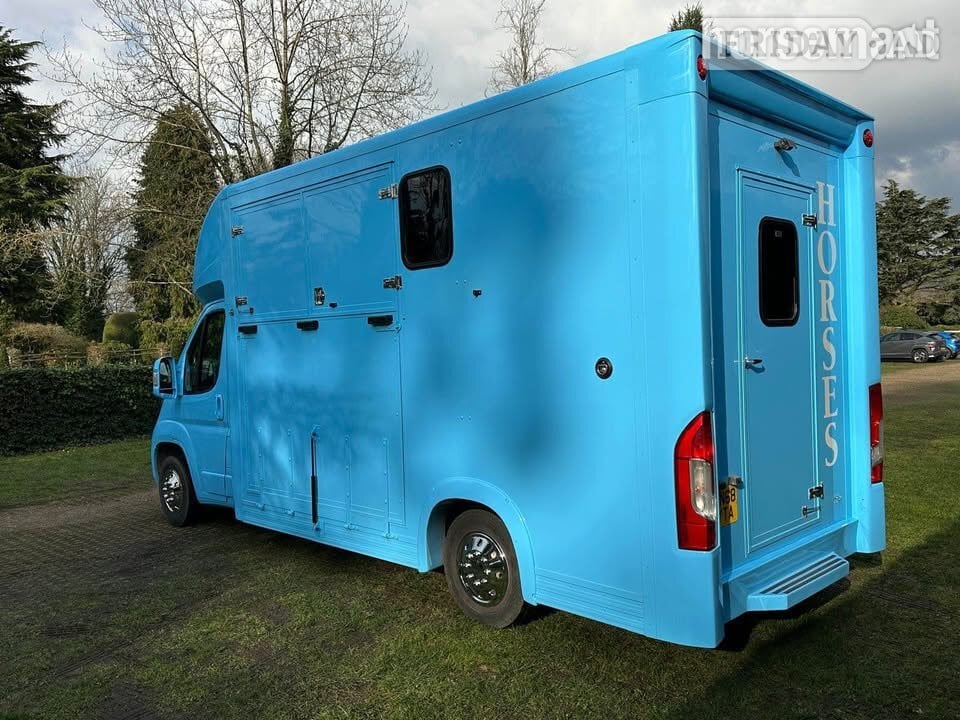 Quigley Solid Blue colour  Peugeot Horsebox - Trailers & Horseboxes in Blackpool
