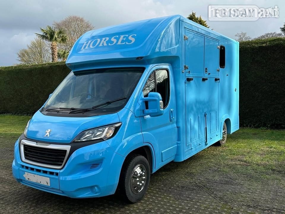 Quigley Solid Blue colour  Peugeot Horsebox - Trailers & Horseboxes