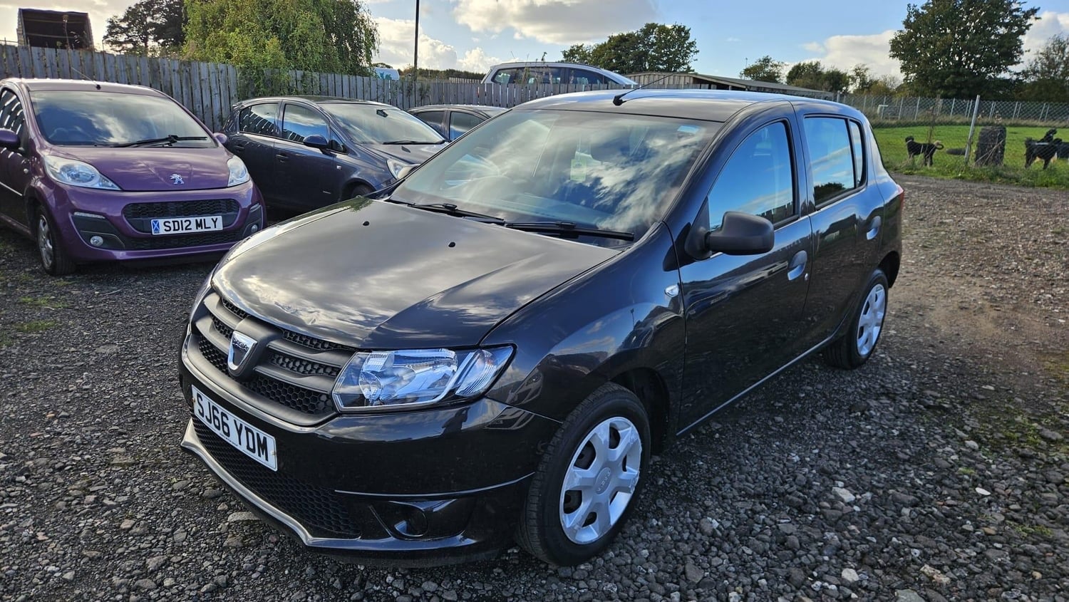[ berth ]Dacia Sandero