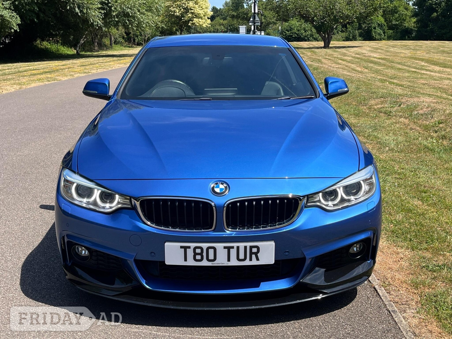 BMW 4 Series Chertsey