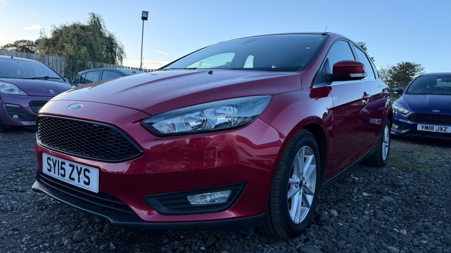 [ berth ]Ford Focus
