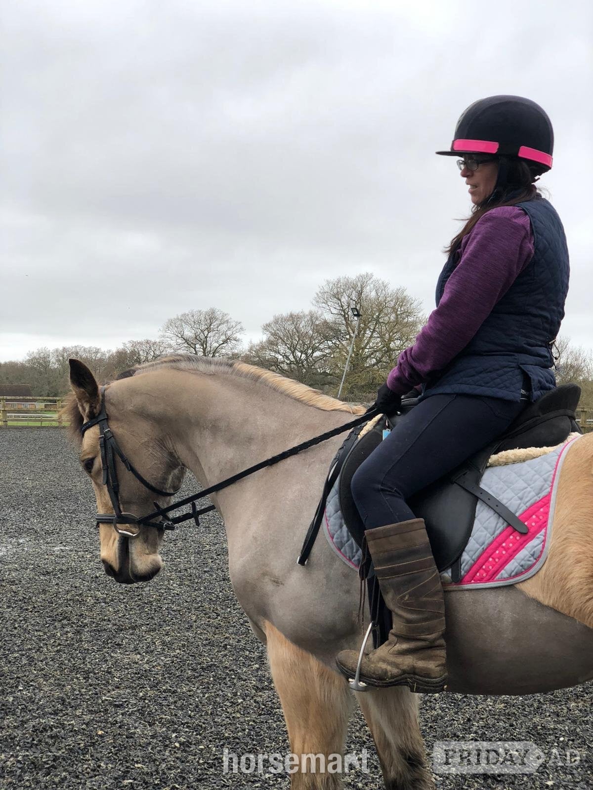 Hartley Wintney "Lady" Dun Mare Happy Hacker