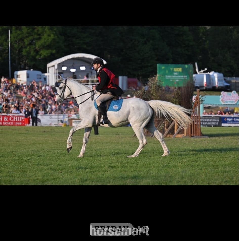"Lilly " Grey Mare All Rounder in Llandysul