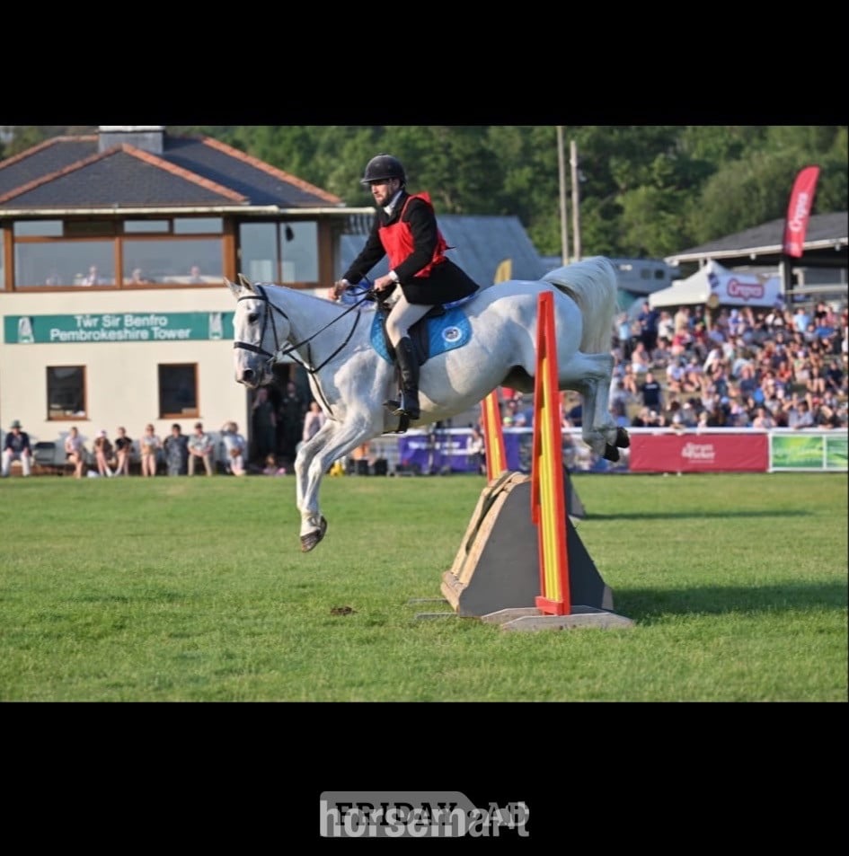 "Lilly " Grey Mare All Rounder - Horses in Llandysul