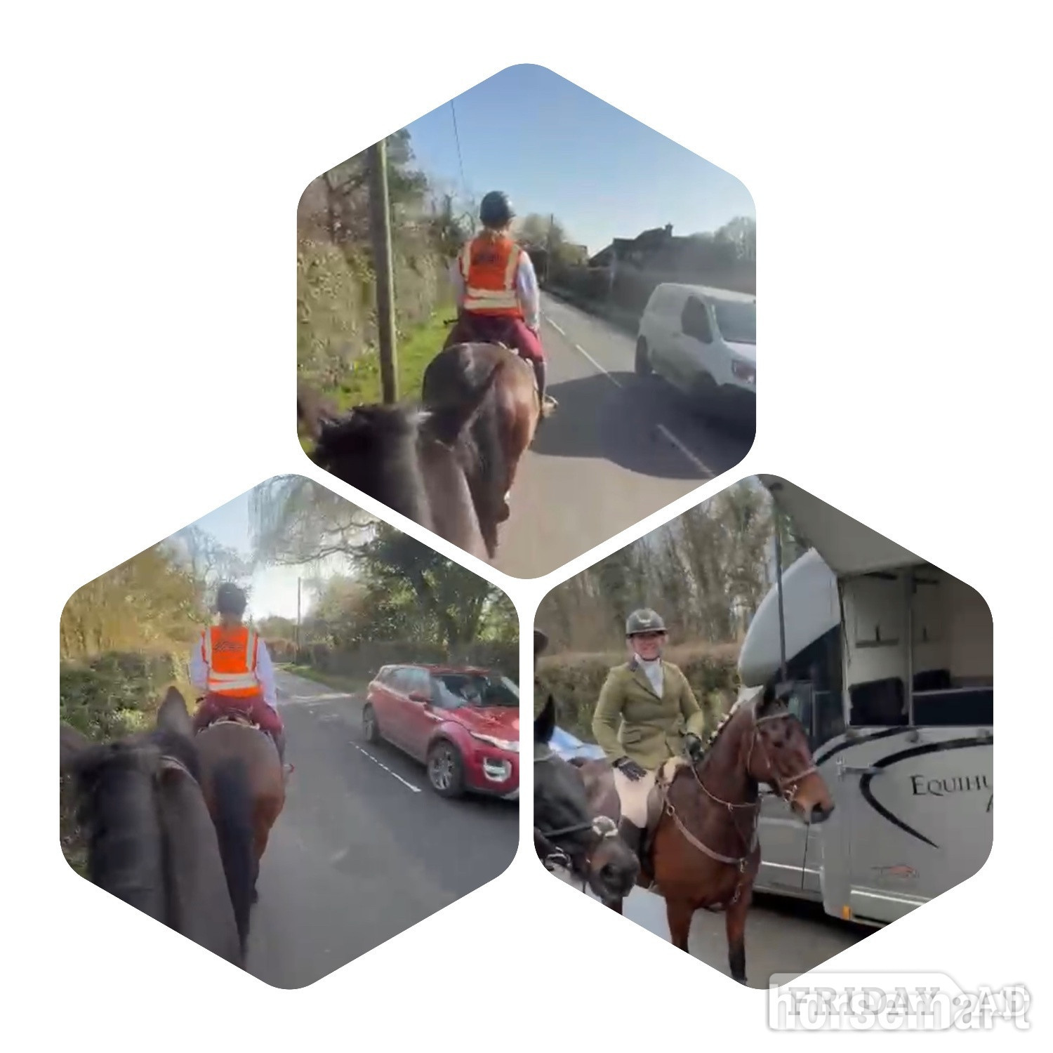 "Coco" Bay Mare Hunter - Horses in Staplehurst