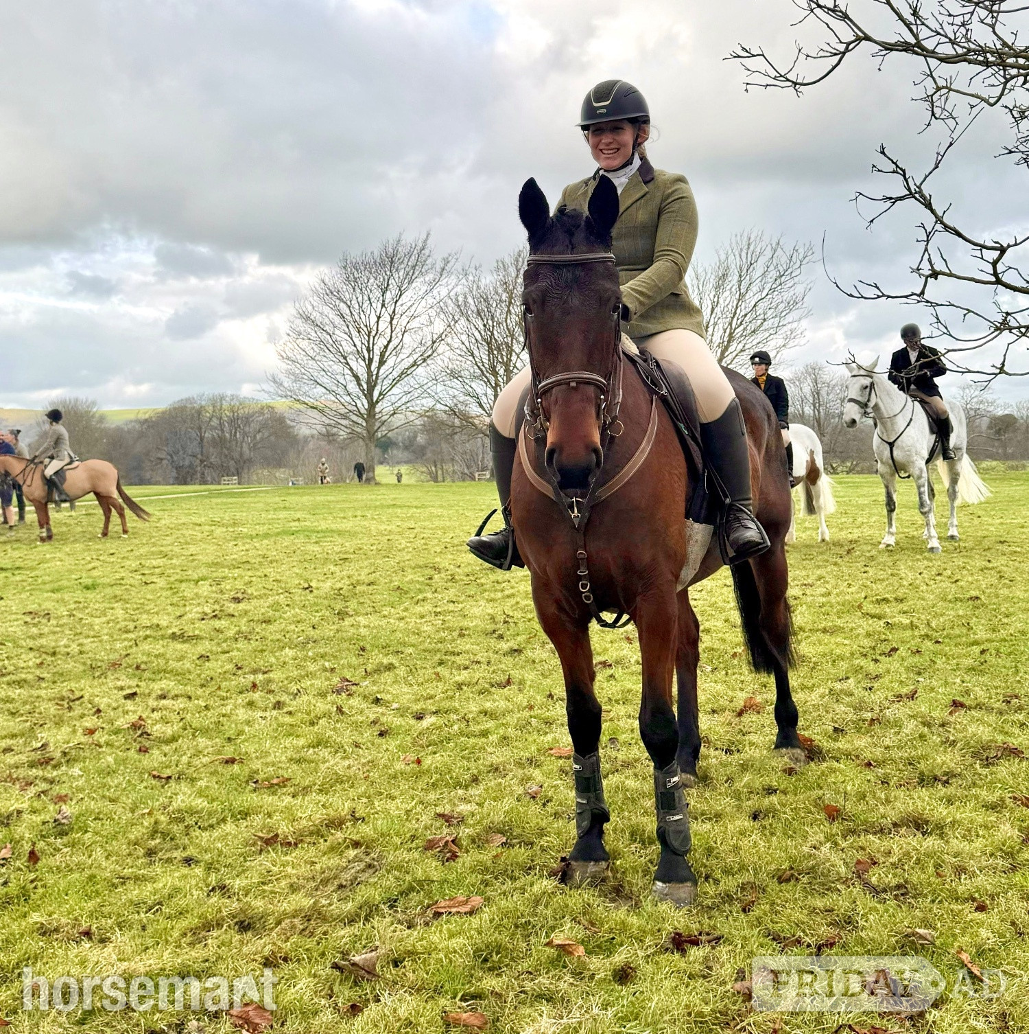 "Coco" Bay Mare Hunter