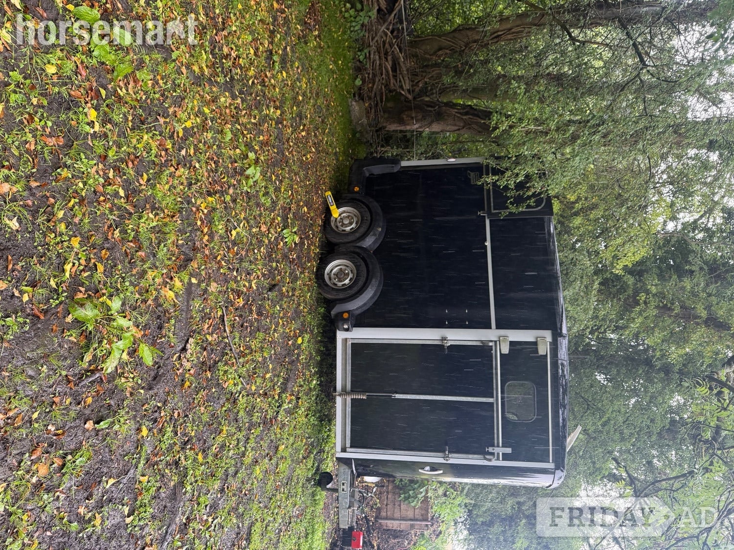 Ifor Williams HB511  Horse Trailer - Trailers & Horseboxes
