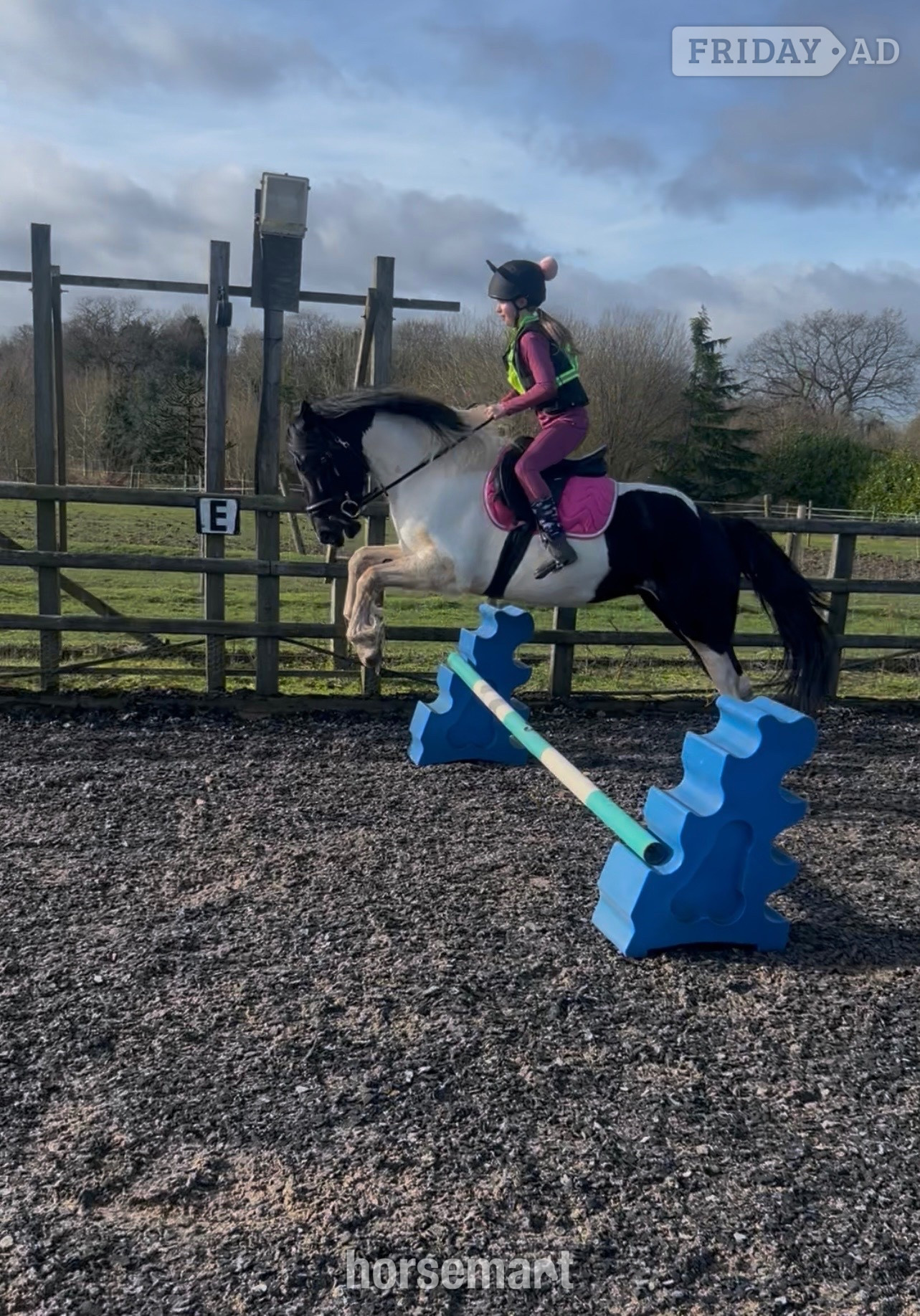 "Minnie" Coloured Mare Coloured in Brewood