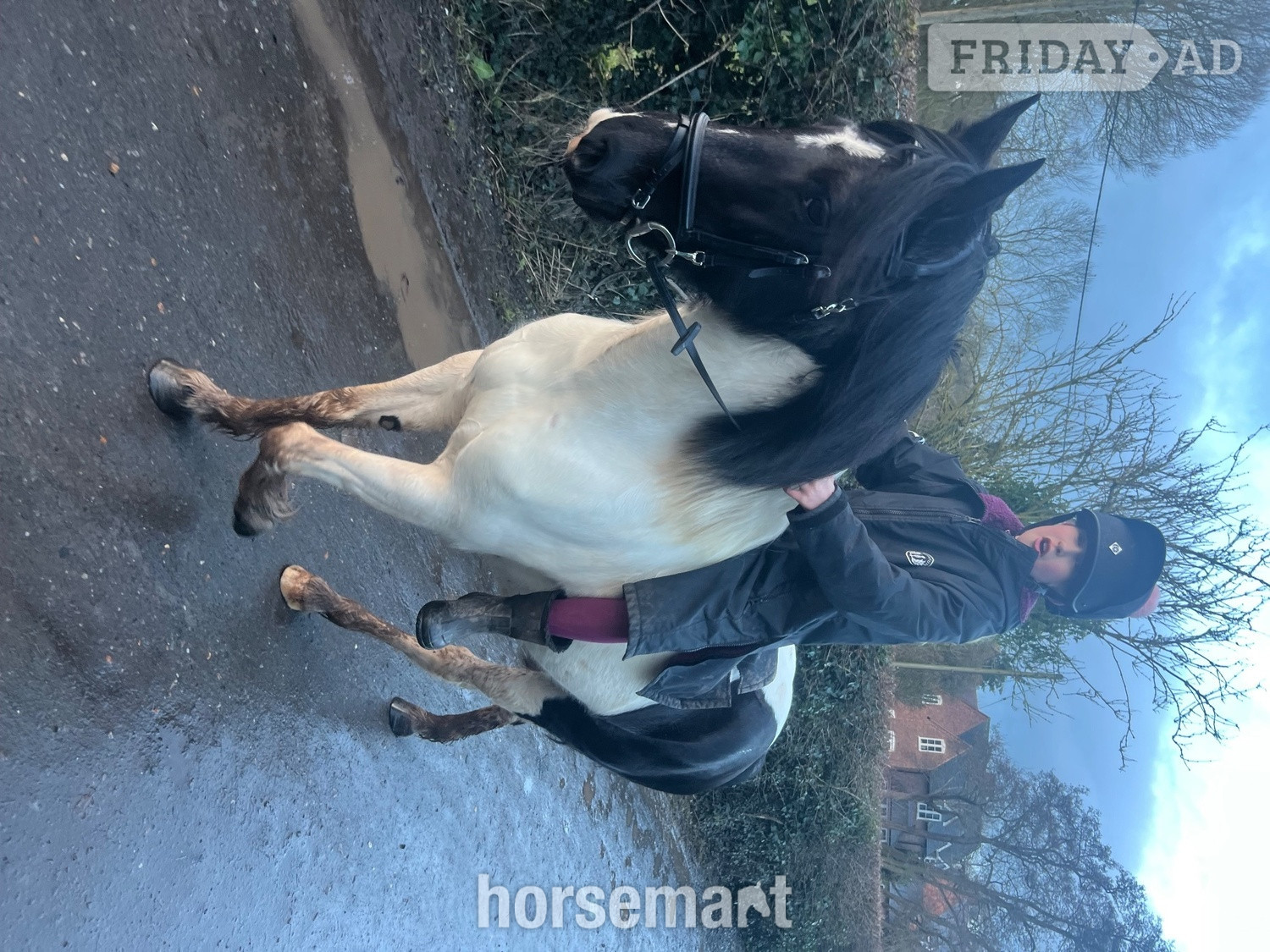 "Minnie" Coloured Mare Coloured - Horses in Brewood