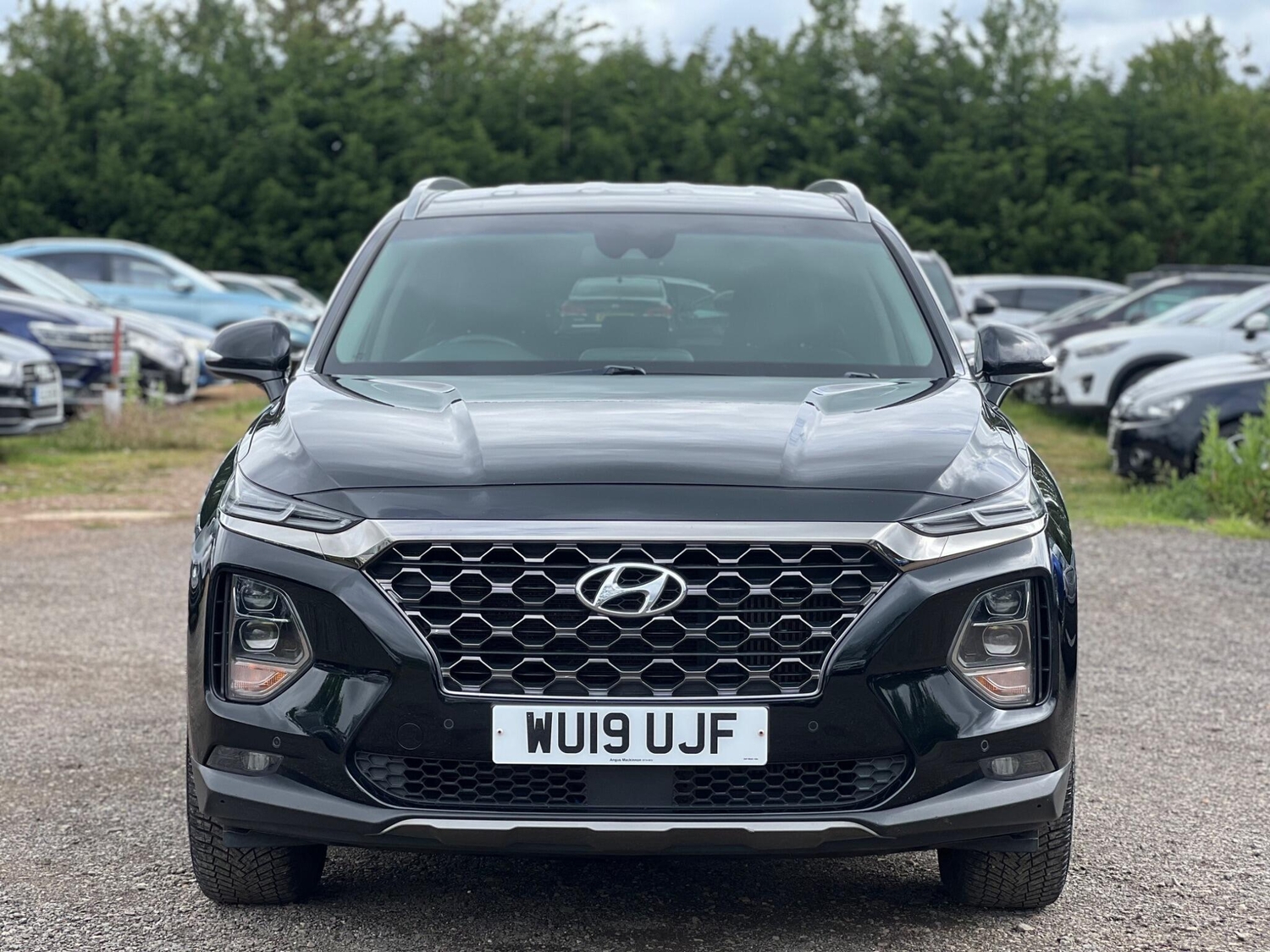 [ berth ]Hyundai Santa Fe