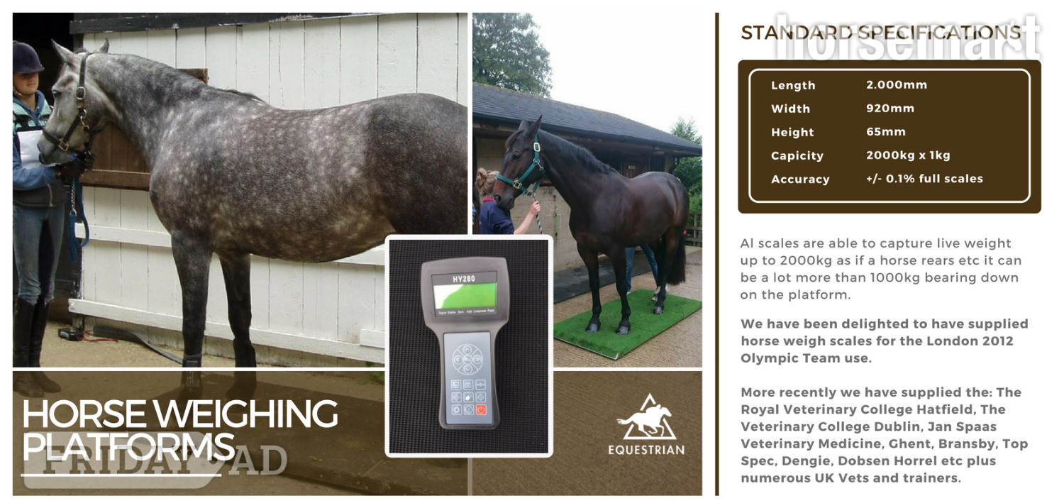 Equestrian Horse Weighing Platform - Horse Care & Equipment