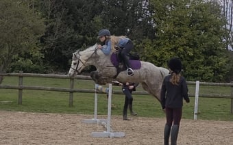 "Rose" Roan Mare All Rounder