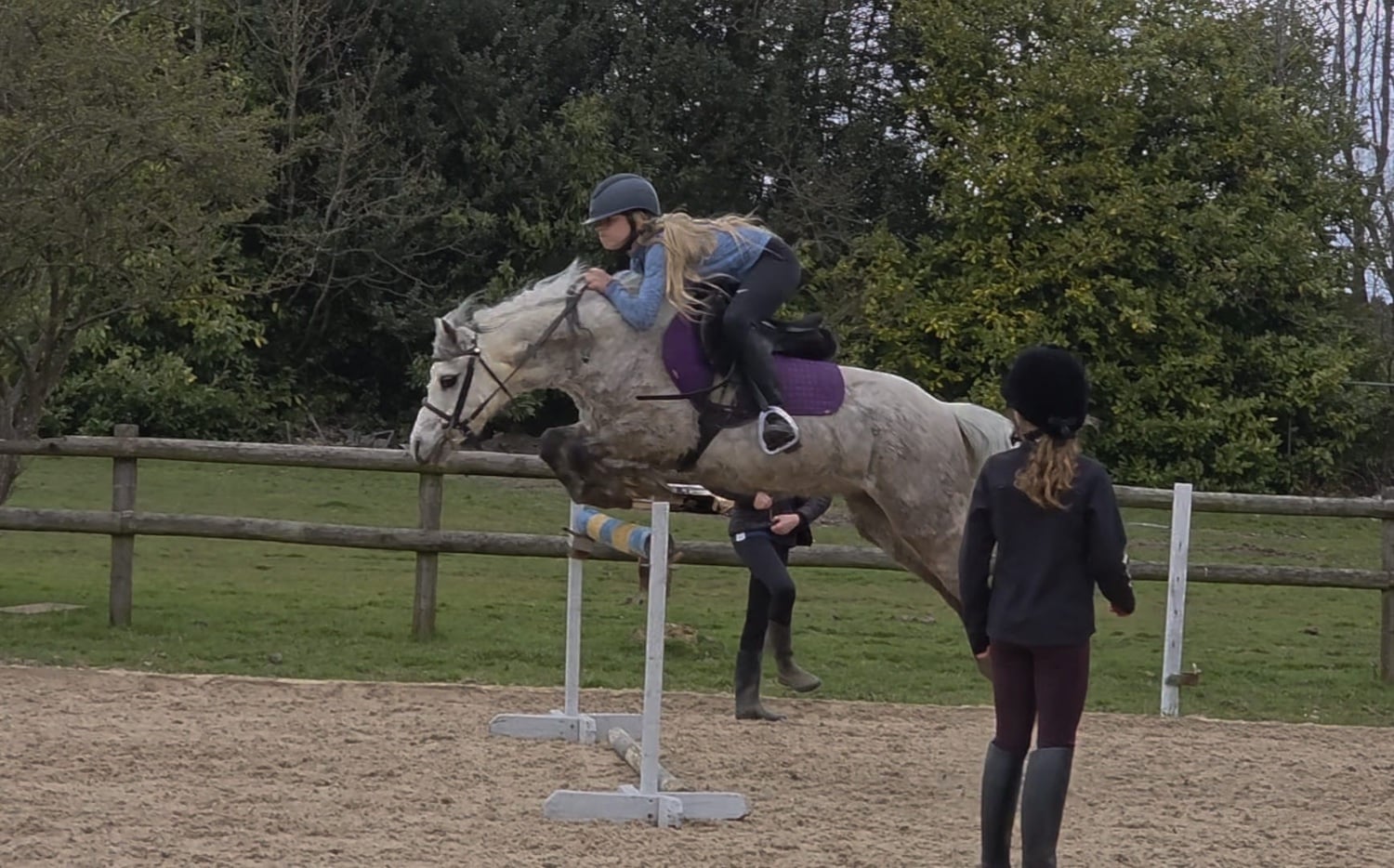 "Rose" Roan Mare All Rounder in Brentwood