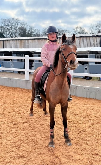 "Dottie" Liver Chestnut Mare Lead Rein/First Ridden Pony