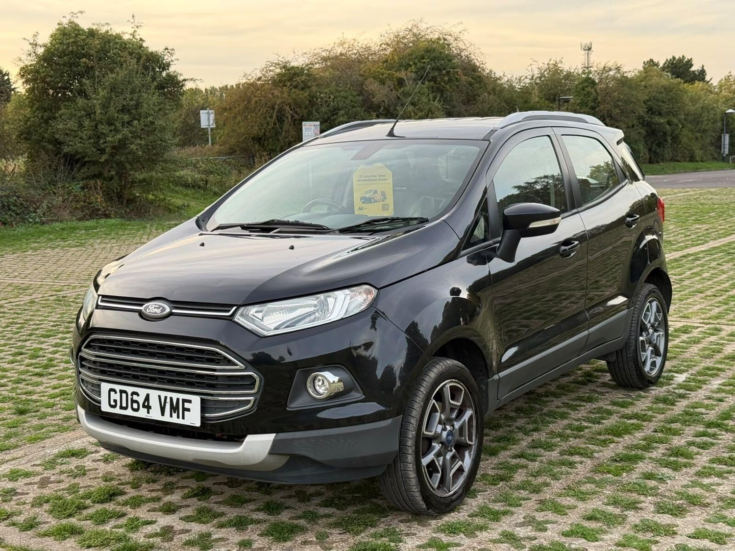 Ford Ecosport 2015 - Cars