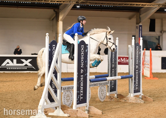 "Illanne Lou Lou" Grey Mare All Rounder