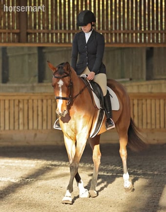 "Ritual De Le’equipe" Bay Mare All Rounder