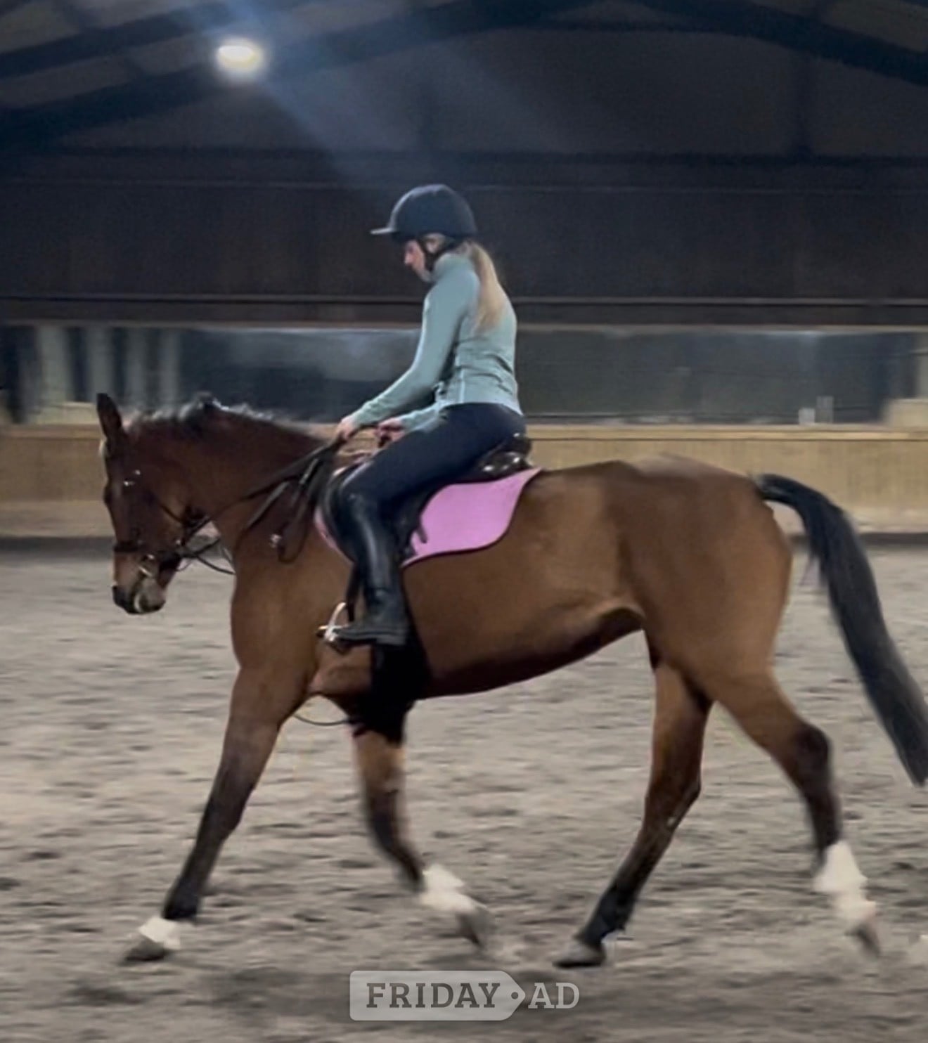 Nottingham "Ritual De Le’equipe" Bay Mare All Rounder