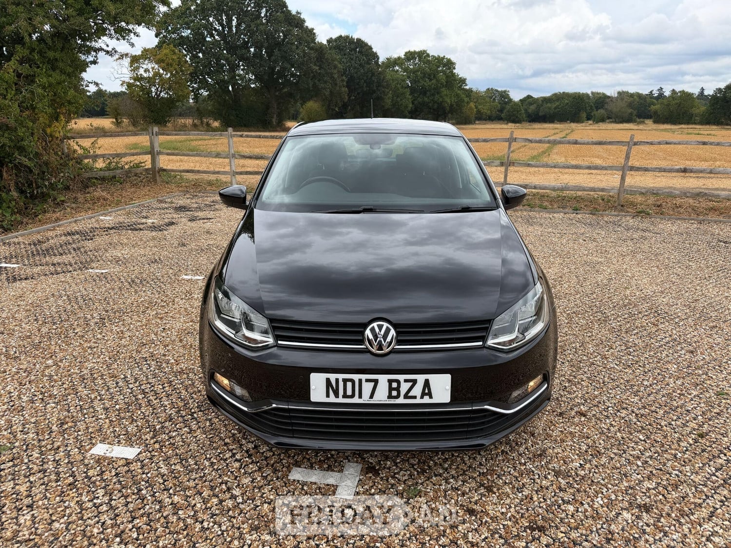 Volkswagen Polo Fleet