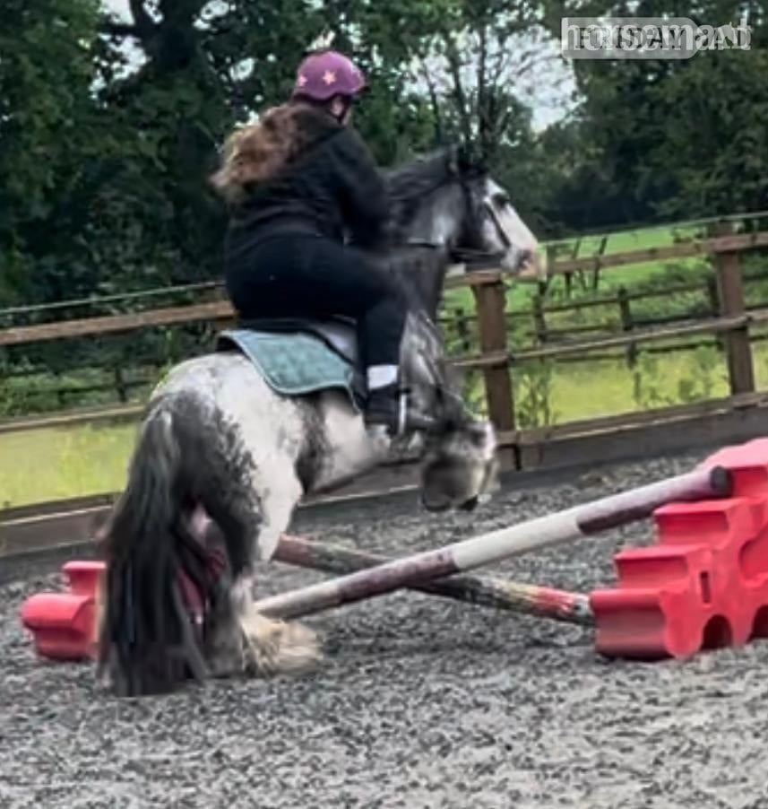 "Mabel" Blue Roan Mare Lead Rein/First Ridden Pony - Horses