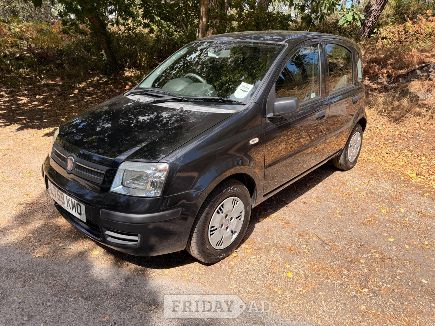 Fiat Panda Ringwood