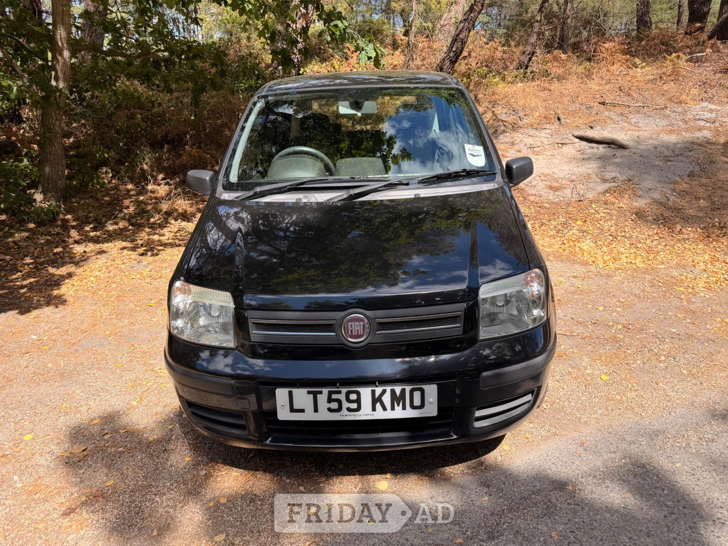 [ berth ]Fiat Panda