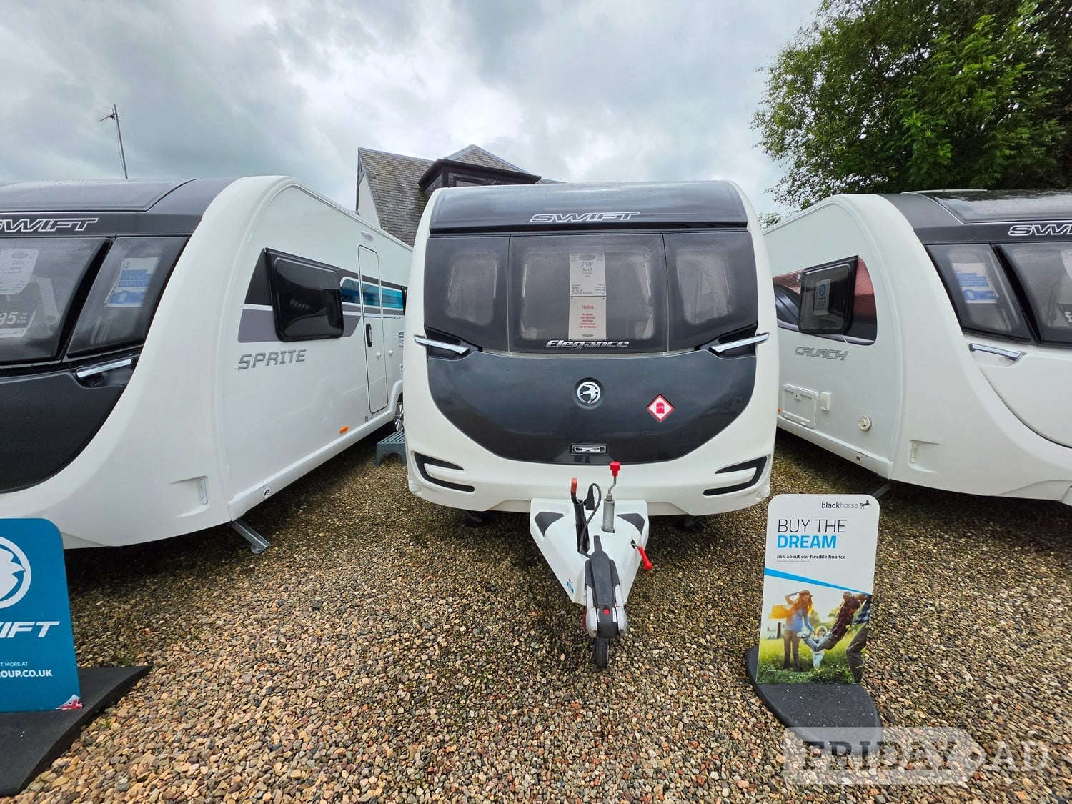 Swift Elegance Beith