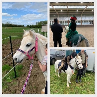 "Bambi" Grey Mare Lead Rein/First Ridden Pony
